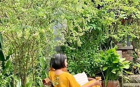Kaia Residence Danang Quiet Garden