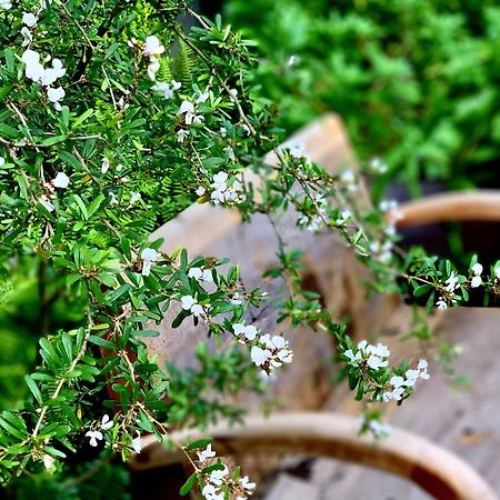 Kaia Residence Danang Quiet Garden Ngoại thất bức ảnh